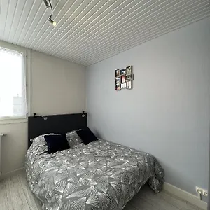  Appartement Le Pont Jumeau - T4 Proche Airbus France
