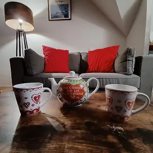  Appartement Duplex Classe 4 Etoiles Plein Centre Village France